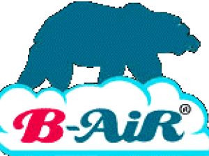 Présentation de B-Air